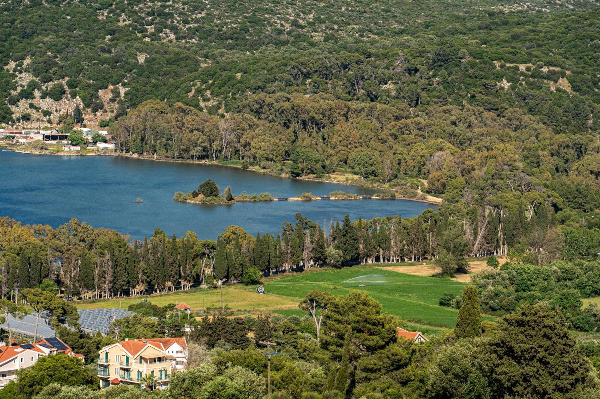 The "L" Suites & Apartments Argostoli  Esterno foto